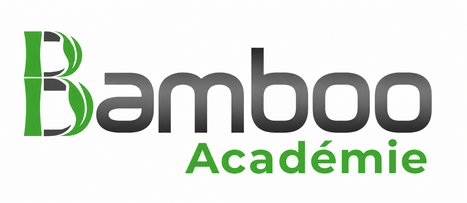 Academi